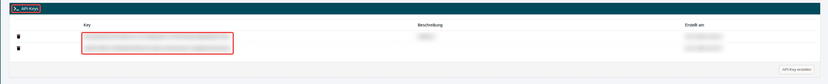 API-Übersicht im Customer Control Panel (CCP) mit hervorgehobenem Abschnitt „API-Keys“ und den erstellten API-Keys.