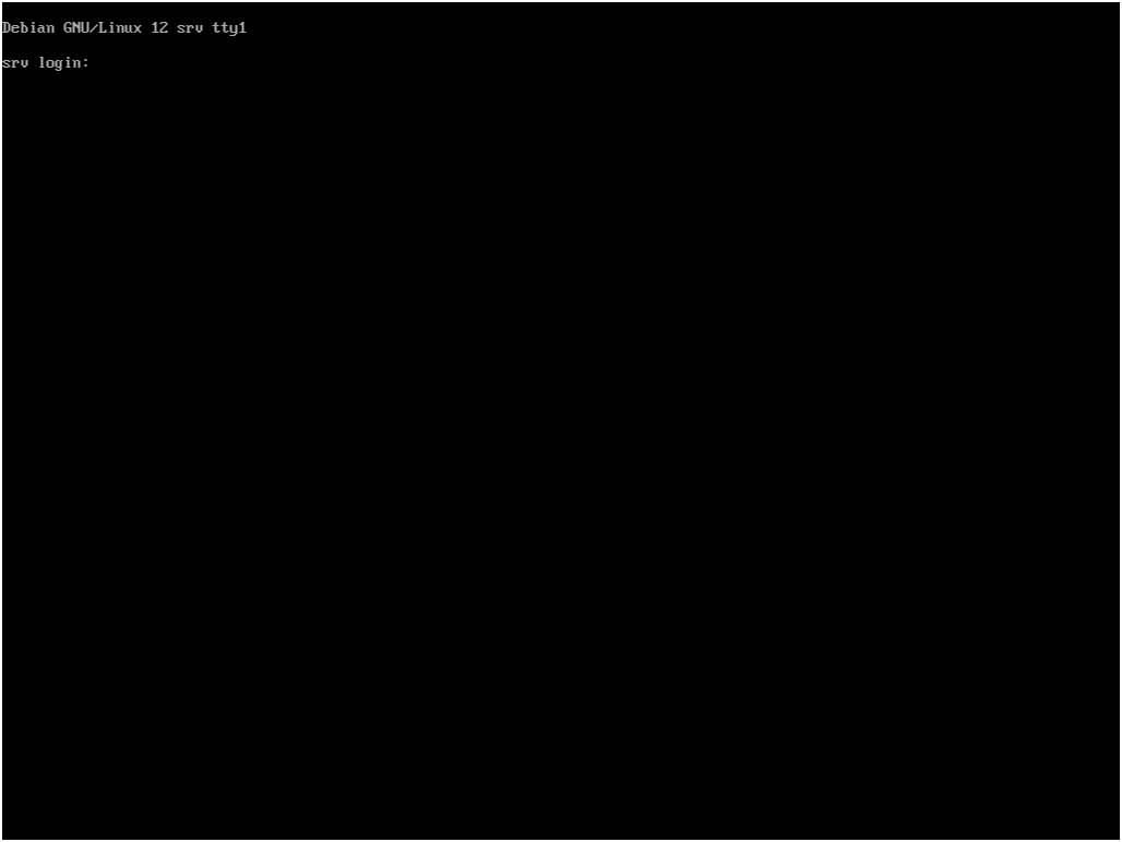 Bildschirm VNC-Konsole